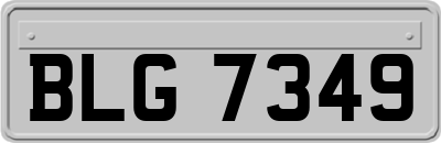 BLG7349