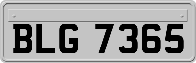 BLG7365