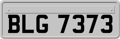 BLG7373