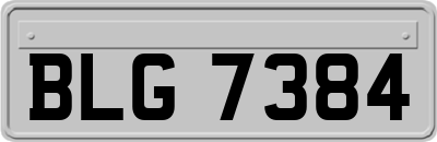 BLG7384