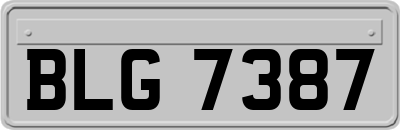 BLG7387