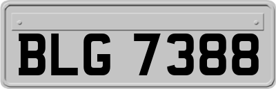 BLG7388
