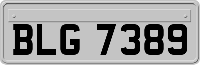 BLG7389