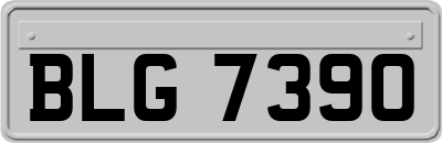 BLG7390