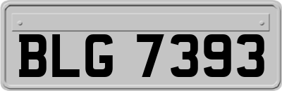 BLG7393
