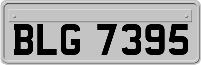 BLG7395