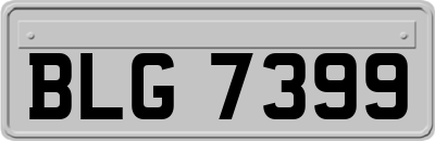 BLG7399