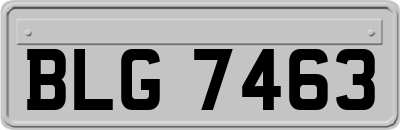 BLG7463