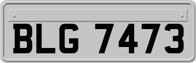 BLG7473