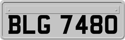 BLG7480
