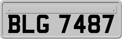 BLG7487