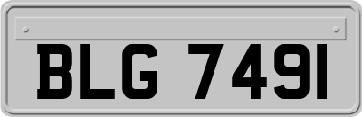 BLG7491