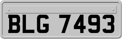BLG7493