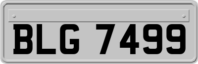 BLG7499
