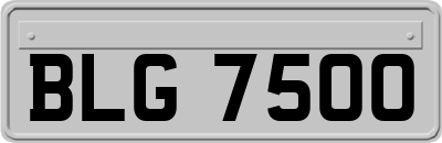 BLG7500