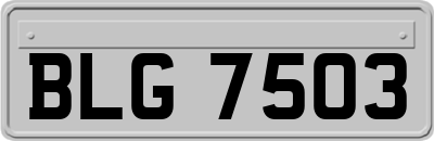 BLG7503