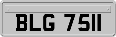 BLG7511