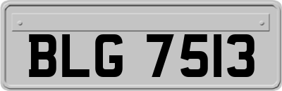BLG7513