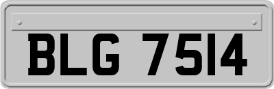 BLG7514