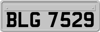 BLG7529