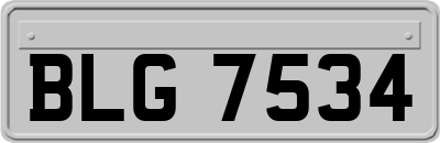 BLG7534