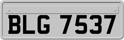 BLG7537