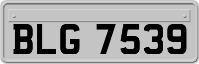 BLG7539