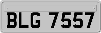 BLG7557
