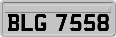 BLG7558