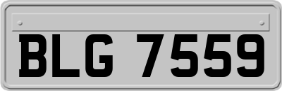 BLG7559