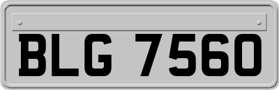 BLG7560
