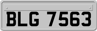 BLG7563
