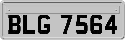 BLG7564
