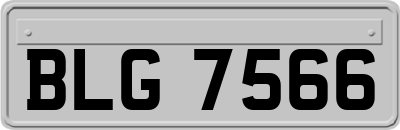 BLG7566