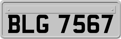 BLG7567