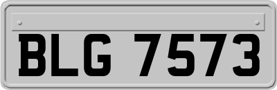 BLG7573