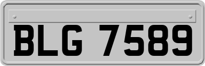 BLG7589