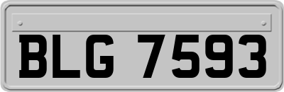 BLG7593