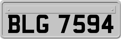 BLG7594