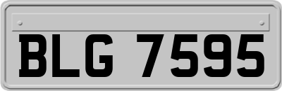 BLG7595
