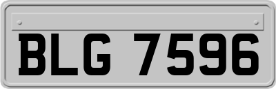 BLG7596