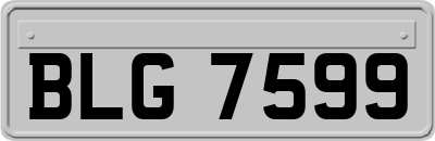 BLG7599