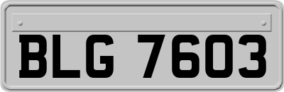 BLG7603