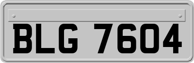 BLG7604