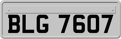BLG7607