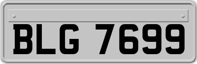 BLG7699