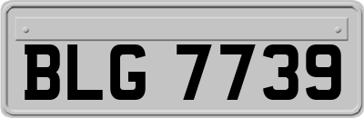 BLG7739