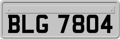 BLG7804
