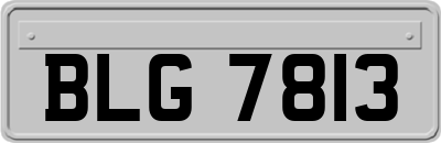 BLG7813
