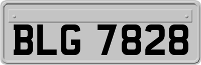 BLG7828